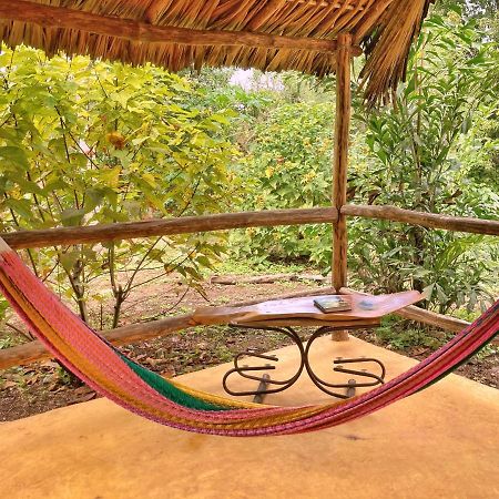 Encantadora Villa Maya Tradicional En Rancho Agroecologico Tzucaceb Exterior foto