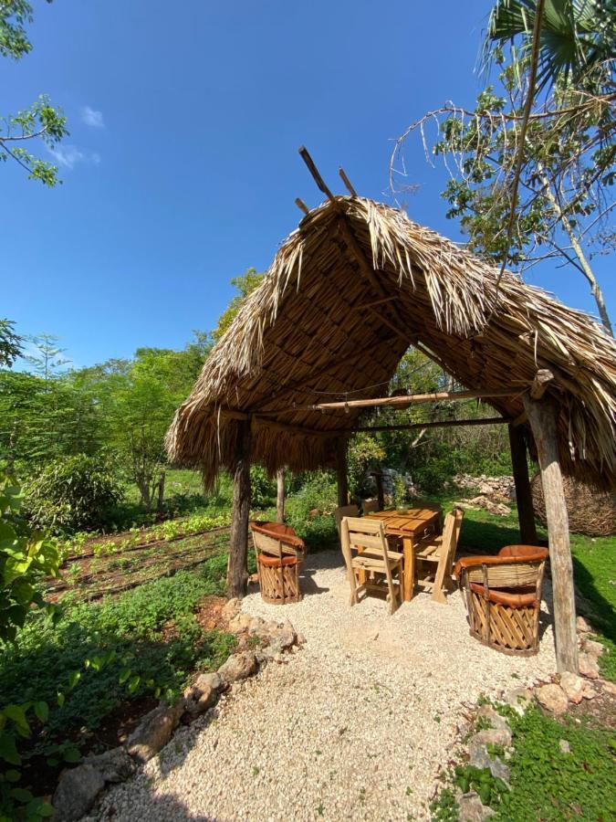 Encantadora Villa Maya Tradicional En Rancho Agroecologico Tzucaceb Exterior foto