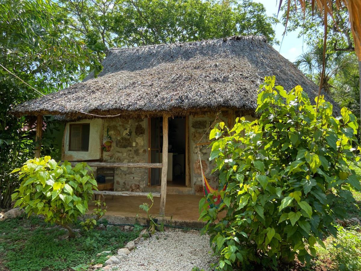 Encantadora Villa Maya Tradicional En Rancho Agroecologico Tzucaceb Exterior foto