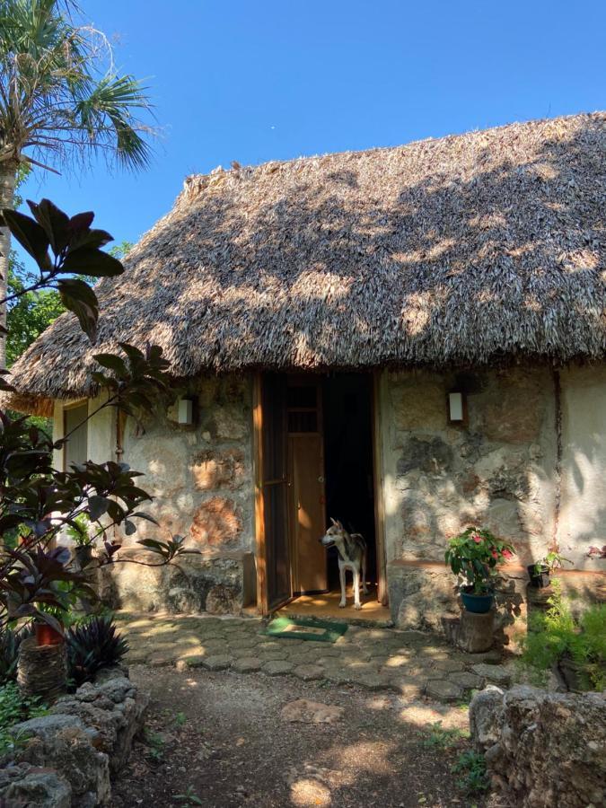 Encantadora Villa Maya Tradicional En Rancho Agroecologico Tzucaceb Exterior foto