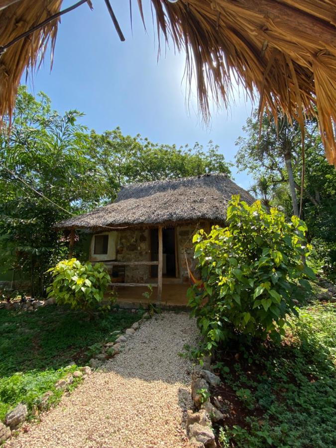 Encantadora Villa Maya Tradicional En Rancho Agroecologico Tzucaceb Exterior foto