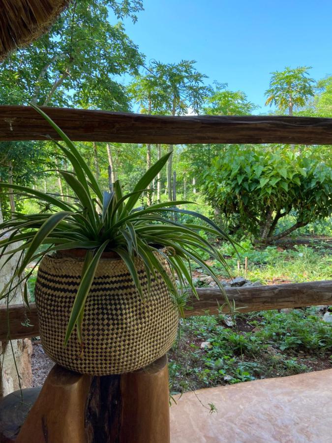 Encantadora Villa Maya Tradicional En Rancho Agroecologico Tzucaceb Exterior foto