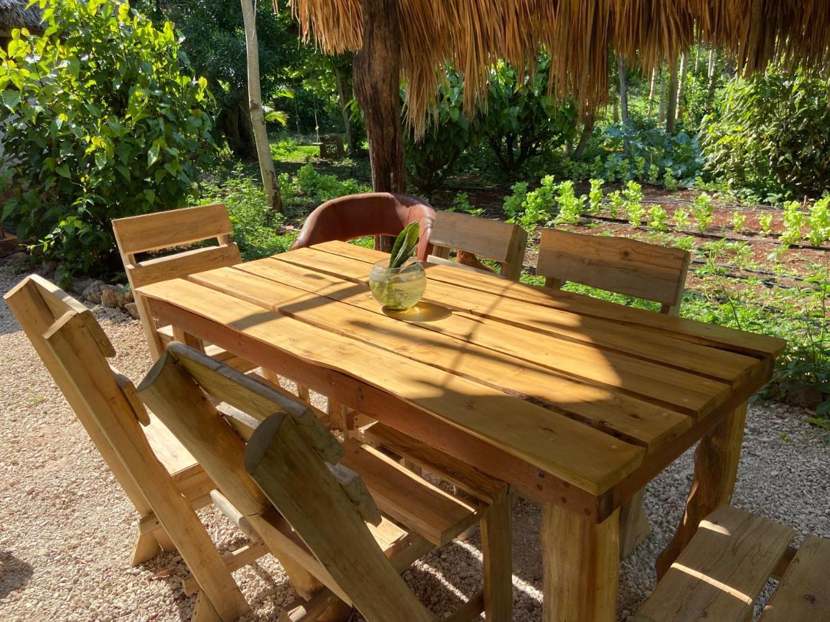Encantadora Villa Maya Tradicional En Rancho Agroecologico Tzucaceb Exterior foto