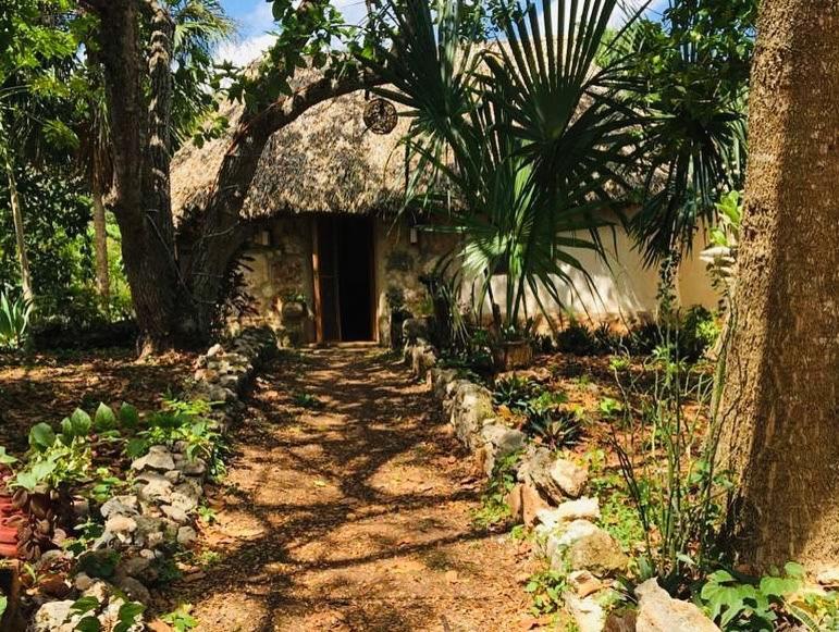 Encantadora Villa Maya Tradicional En Rancho Agroecologico Tzucaceb Exterior foto