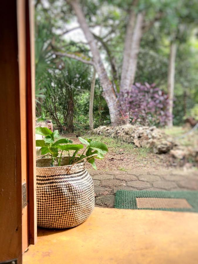 Encantadora Villa Maya Tradicional En Rancho Agroecologico Tzucaceb Exterior foto
