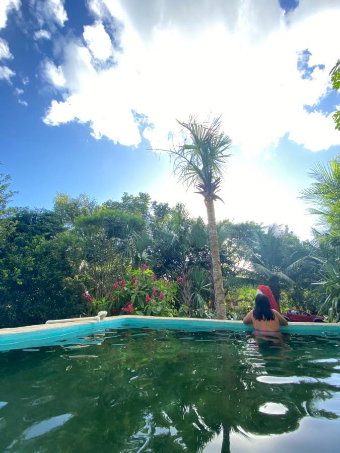 Encantadora Villa Maya Tradicional En Rancho Agroecologico Tzucaceb Exterior foto